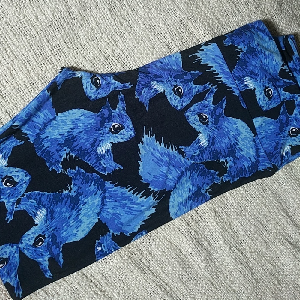 Blue Squirrel Leggings, TC